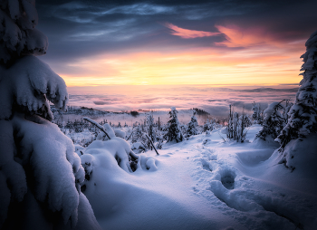 Winter sunset / Winter sunset from Slovakia