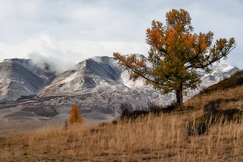 Altai Herbst / ***