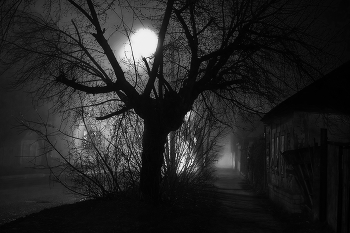 Nacht ... / ***