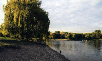Auf dem See / ***
