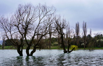 Simferopol Reservoir / ***