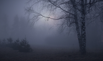 Nacht Nebel / ***