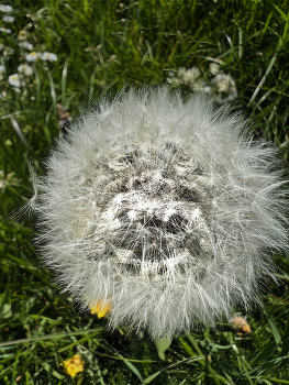 What a freak! / Hairy