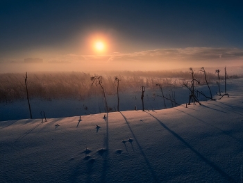 Burnt by the Sun / ***