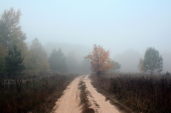 Herbstnebel. / " " "