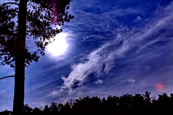 Ängstlich ... / ***