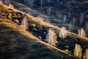 Frühling Pisten / ***