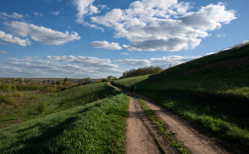 Die Straße im Sommer / ***