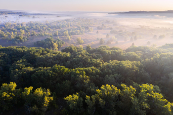 Morgens Flug / ***