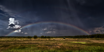 Storm Front / ***