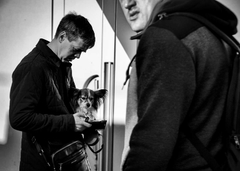 Ein Hundeleben / ...