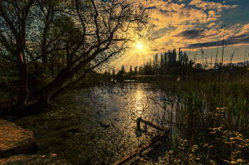 Abend auf dem See / ***