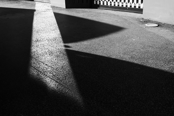 Shadow Schmetterlinge / ***