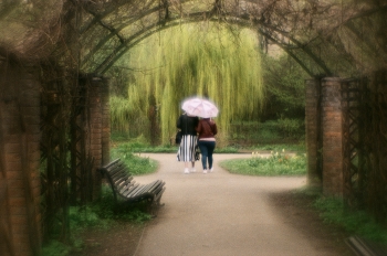 &nbsp; / It’s raining (in LA)