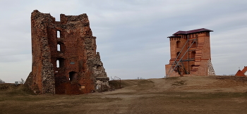 Novogrudskiy Castle / ***