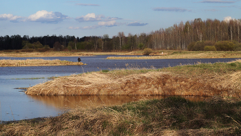 Mai Landschaft. / ***