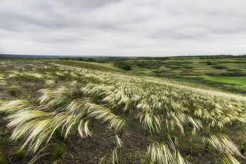 Wind im Gesicht / ***