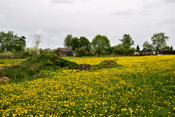 Frühling im Land / ***