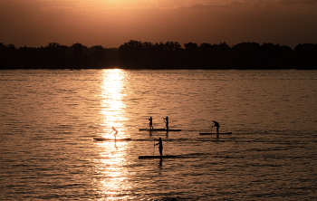 Abendspaziergang / ...