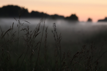 Nebel zerstreut / ***