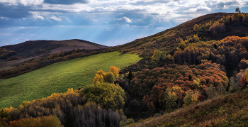 Autumn etude / ***