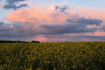 Sonnenuntergang nach regen / ***