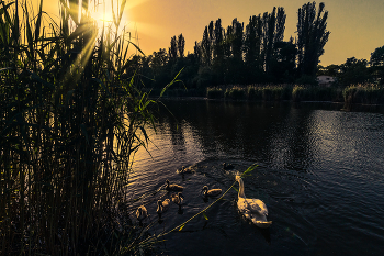Abend-Übung / ***