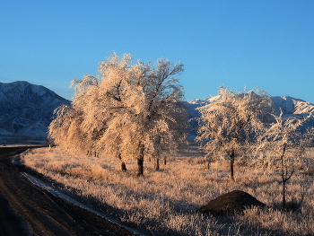 Winterdämmerung / ***