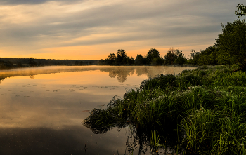 Sommermorgen. / ***