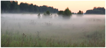 Nebel zerstreut / ***