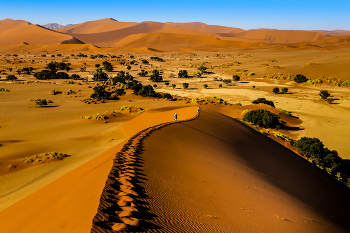 Düne 15 / aufgenommen in der Namib