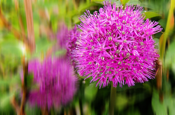 Der Beginn des Sommers. / 2022.