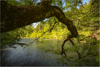 mountain River / ***