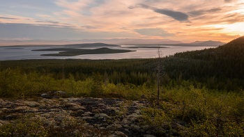 Midnight Sun / ***