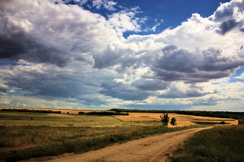 Feld / ***