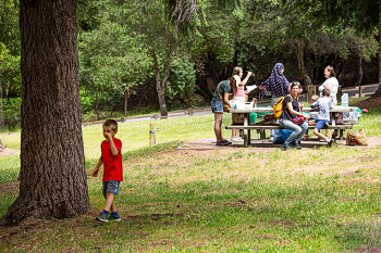 Beleidigt ... / ....