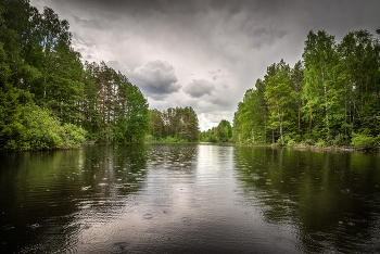 Diese Sommerregen ... / ***