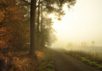 Herbst / ***