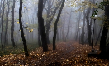 Im Herbst des Parks ... / ***