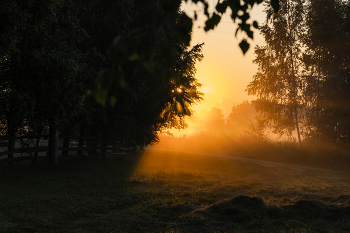 Nebel zerstreut / ***