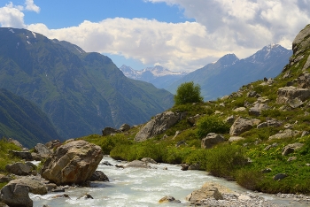 Sommer in den Bergen / ***