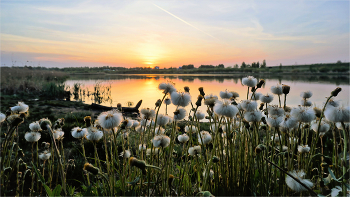 Die Begegnung mit der Morgendämmerung / ***