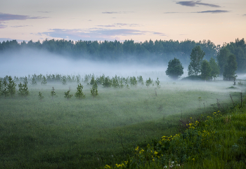 Nebel / ***