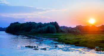 Sommerabend. / ***