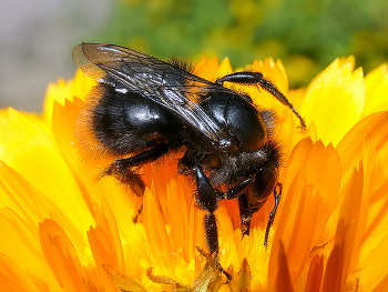 &nbsp; / ================