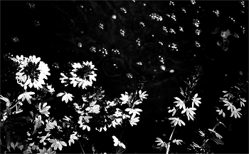 &nbsp; / ............................................