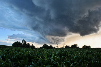 Der Sturm kommt / ***