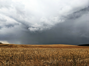 Vor dem Sturm / #####