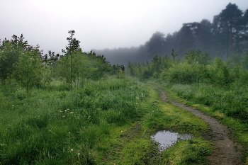 Kalten Morgen. / ***