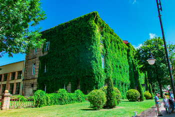 Grodno / https://www.instagram.com/vaguro_v_u_v

https://web.facebook.com/evgeniy.vagouro

https://vk.com/e.vaguro

https://www.youtube.com/user/MsREPOMEN

https://zen.yandex.ru/id/6229efa215abe97a09db4a54

https://www.tiktok.com/@vaguro_v_u_v

https://gurushots.com/Jek004